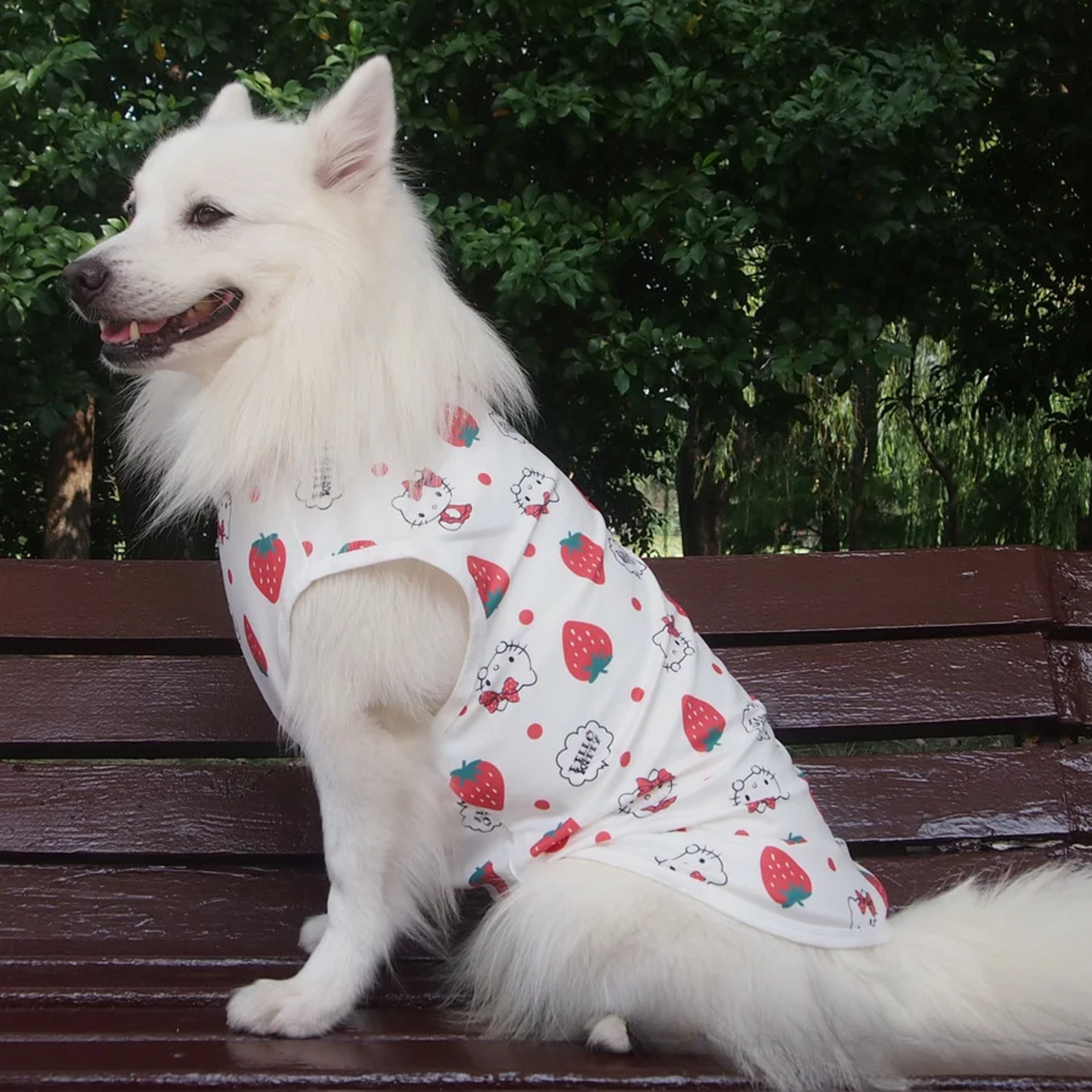 Camiseta de manga corta de hello kitty y dinosaurio para perros grandes