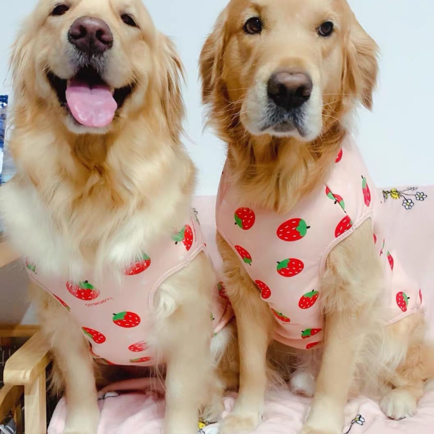 Camiseta de manga corta de fresas para perros grandes, con forro polar