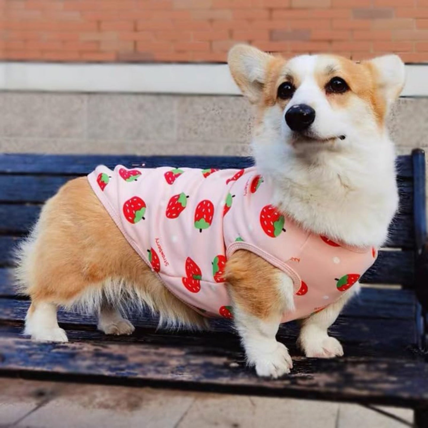Camiseta de manga corta de fresas para perros grandes, con forro polar