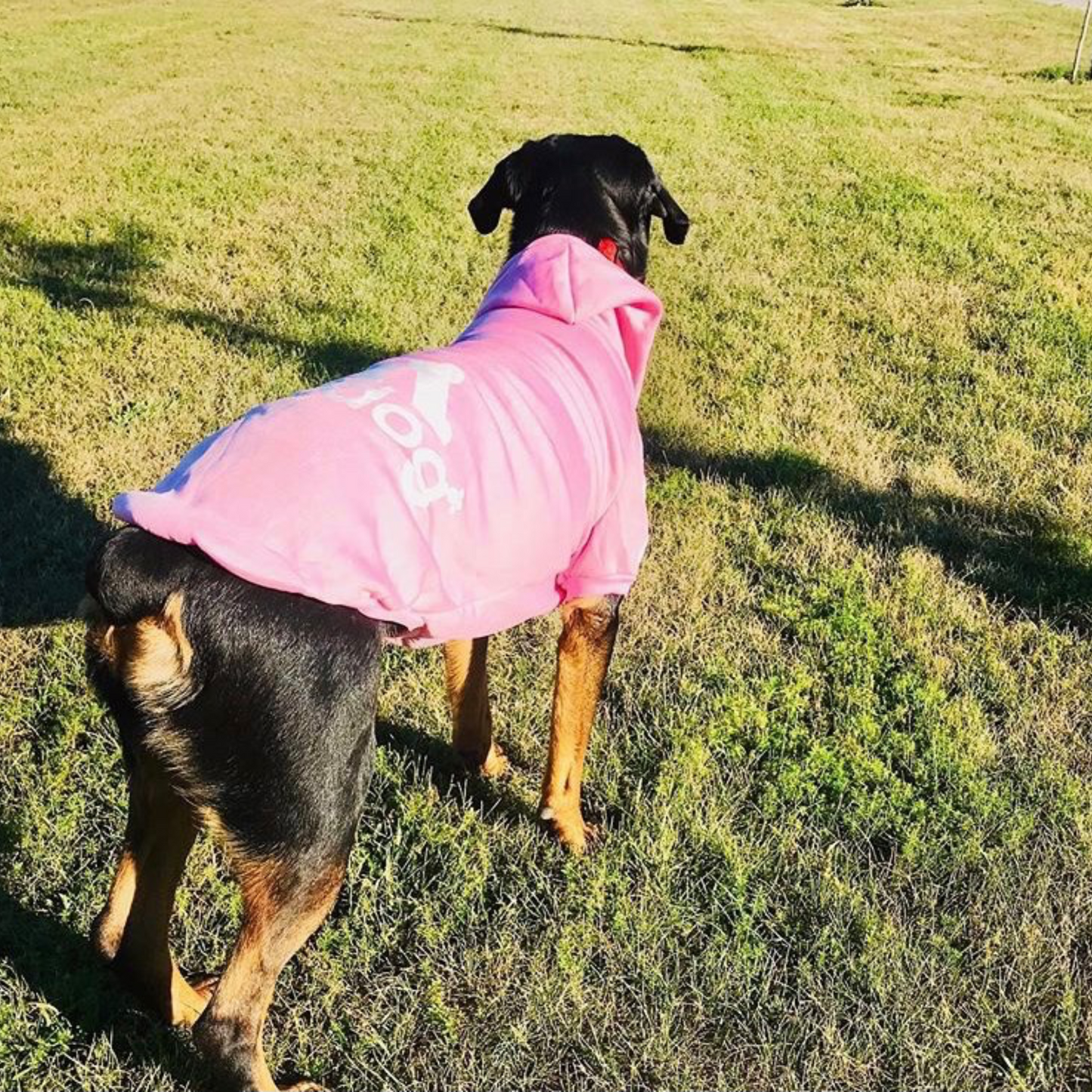 Sudadera adidog rosa para perros