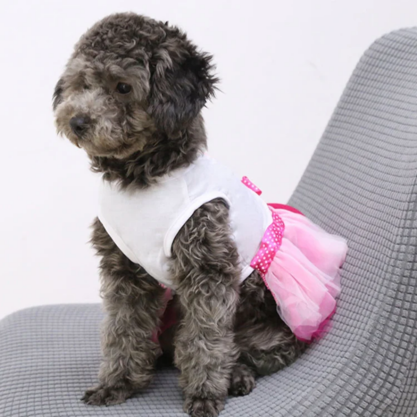 Vestido en algodón de besos para perras, especial San Valentin