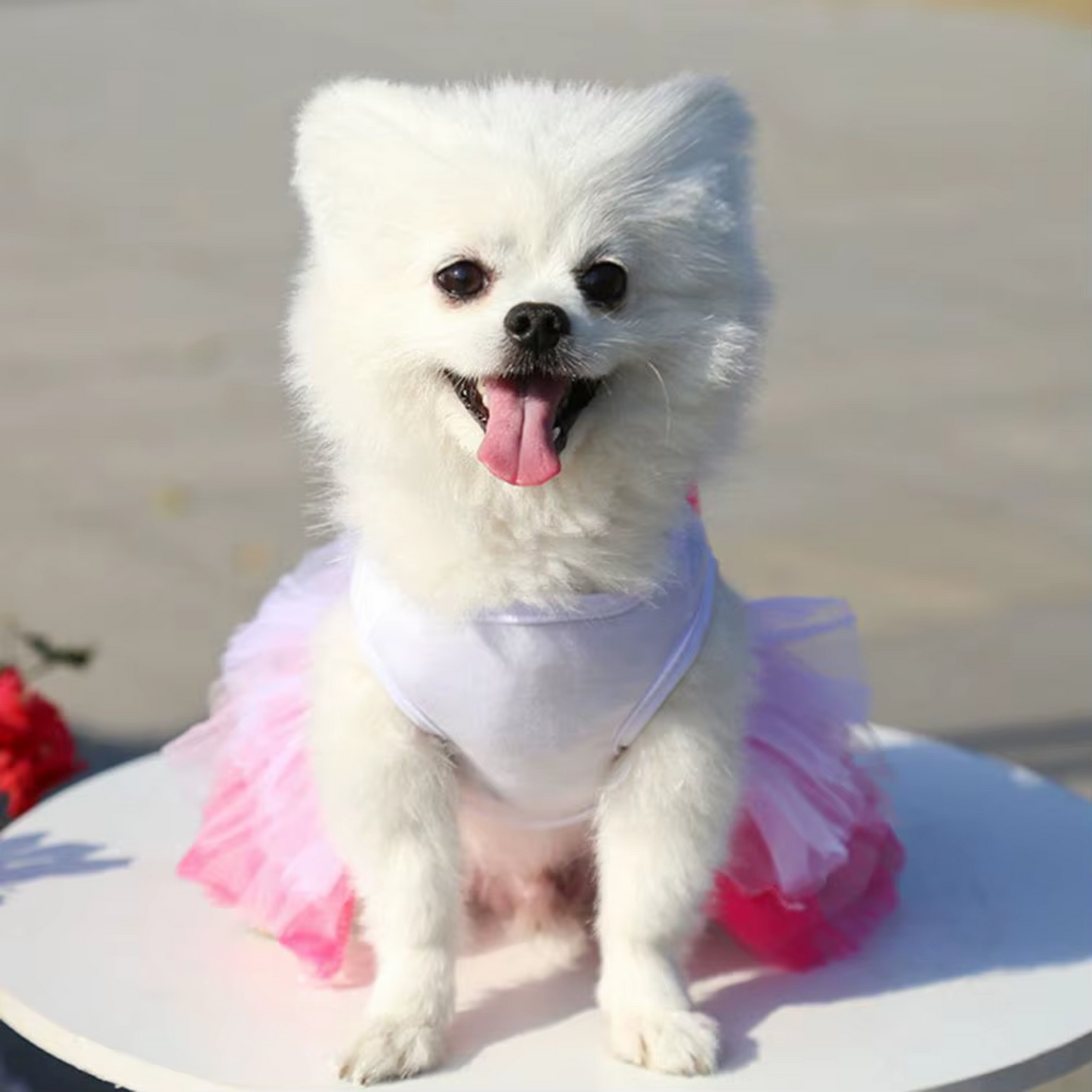 Vestido en algodón de besos para perras, especial San Valentin