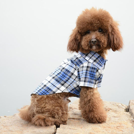 Camisa de cuadros escoces azul para perros