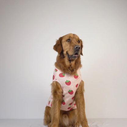 Camiseta de manga corta de fresas para perros grandes, con forro polar