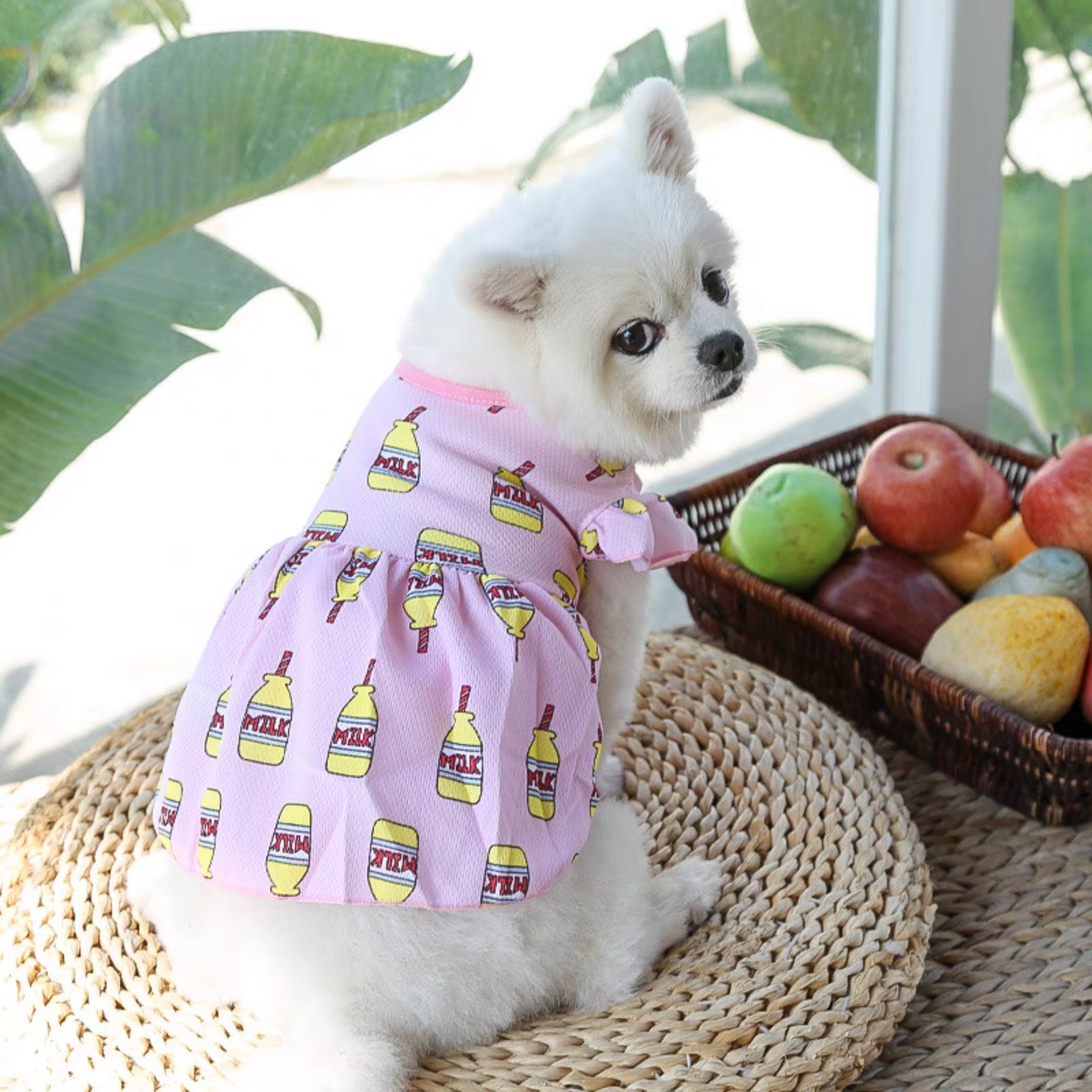 Vestido de botes de leche -colacao, para perros