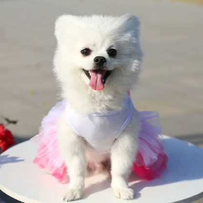 Vestido en algodón de besos para perras, especial San Valentin